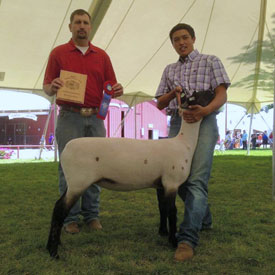 Hornecker Winner