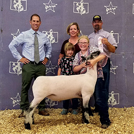 Hornecker Livestock Winners