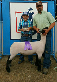 Hornecker Winner